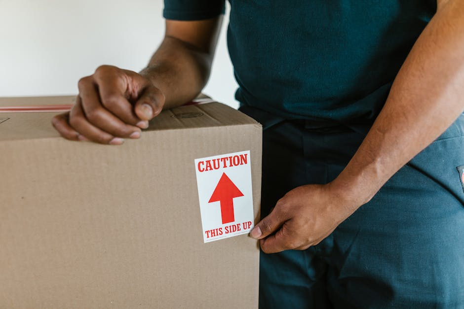 A young girl with curly hair and an adult woman with shoulder-length brown hair are inside a home, inspecting and possibly packing a cardboard box for a home relocation. The woman holds a smartphone in her hand while the girl looks closely at the box. Beside them, a young man with short dark hair, wearing a dark t-shirt, is kneeling and assisting with the packing process, holding a marker or pen. In the background, there are large windows with natural light coming in, and the room features curtains and a neutral colour palette. The scene depicts a collaborative packing effort typical of furniture transport and moving preparations, with the use of cardboard boxes for packing, and the presence of tools or materials used during the packing and loading process, consistent with professional removals services provided by Sutton Man and Van.